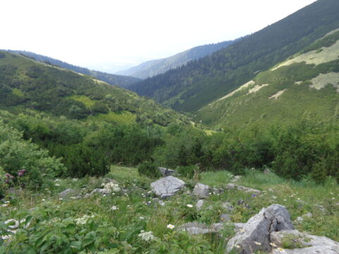 Malá Fatra