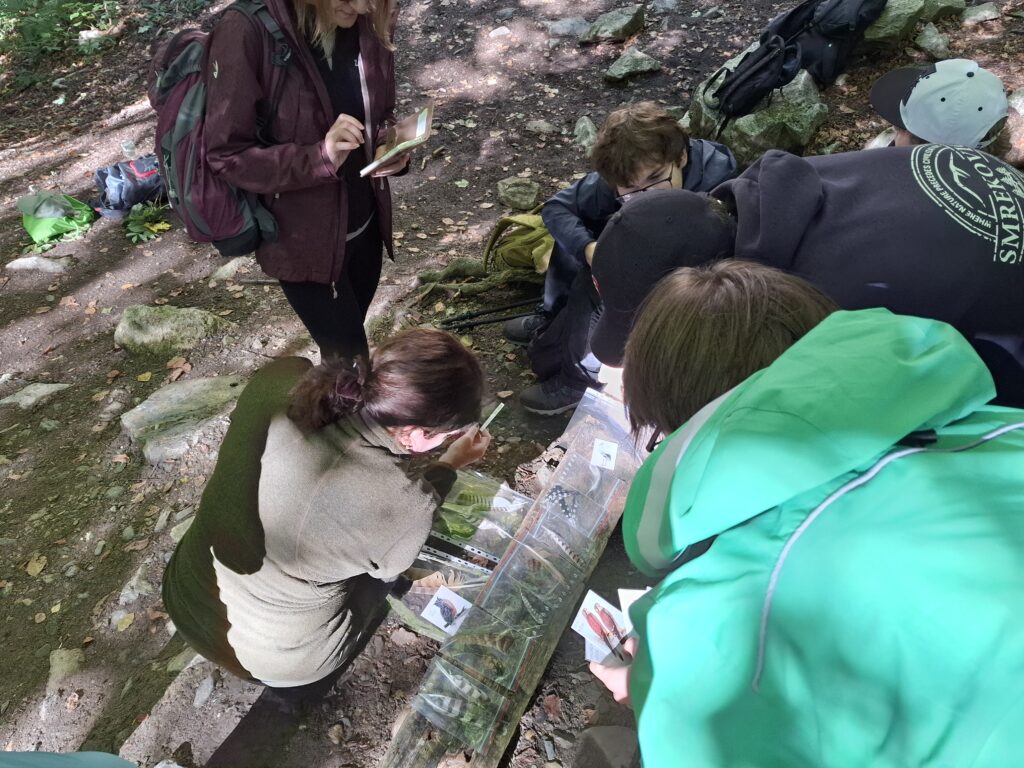Ekoaktivita - Pierka