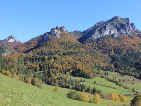 Rozsutce