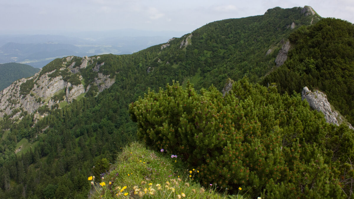 Národný park Malá Fatra