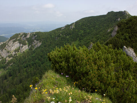 Národný park Malá Fatra