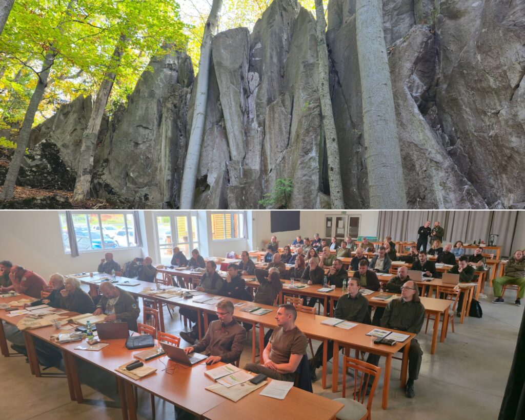 Seminár tis obyčajný